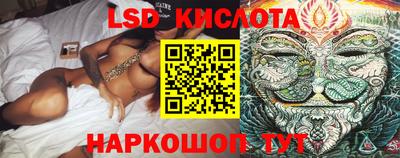 ECSTASY Новозыбков