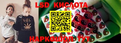 прущие крисы Новодвинск