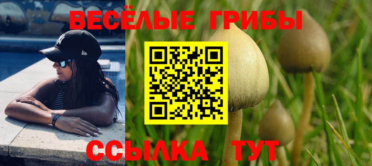 Псилоцибиновые грибы Psilocybe Рославль