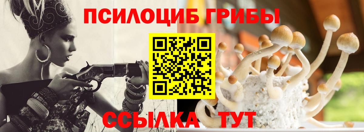 Псилоцибиновые грибы Psilocybe  Вход с VPN  Рославль 